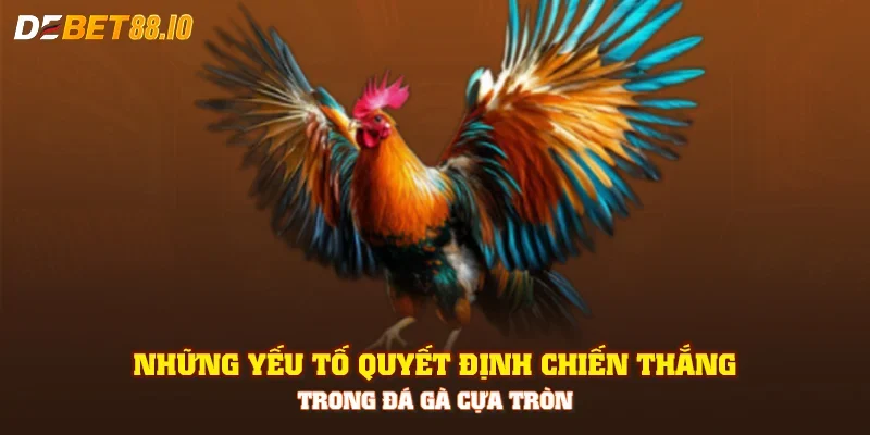 Những yếu tố quyết định chiến thắng trong đá gà cựa tròn