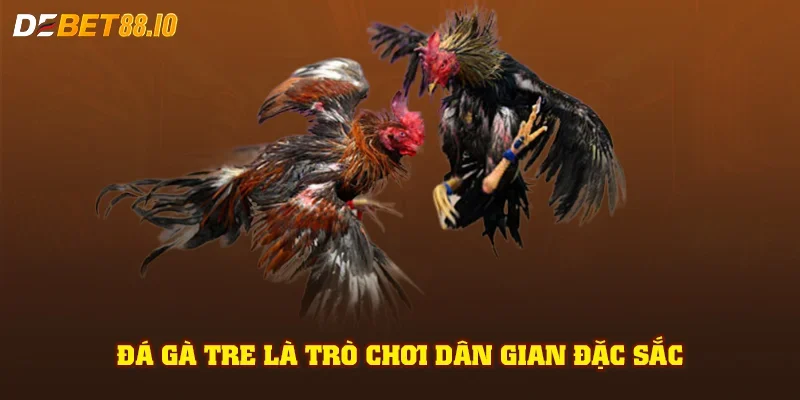 Đá gà tre là trò chơi dân gian đặc sắc